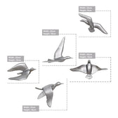 Resin Flying Birds Wall Hanging In Celestial Silver (Set Of 5)