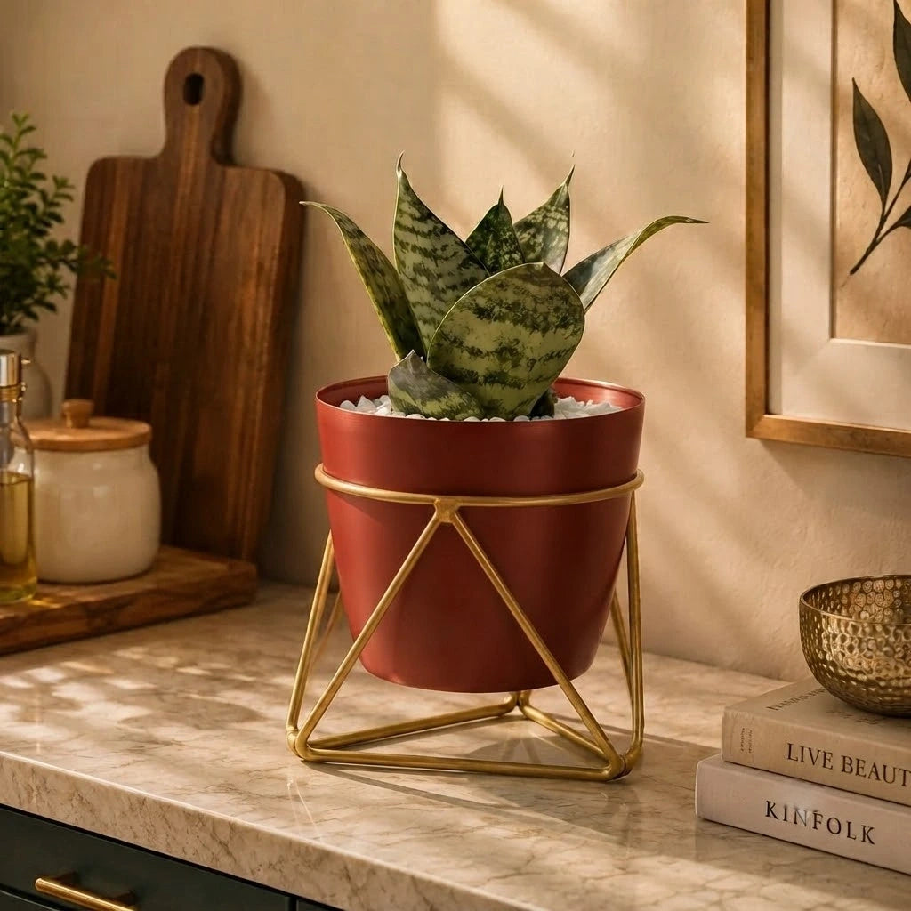 Single Golden Metal Pot Plant Stand In Mahogany