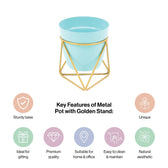 Single Golden Metal Pot Plant Stand In Horizon Blue