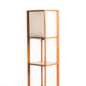 Shelf Floor Lamp for Living Room