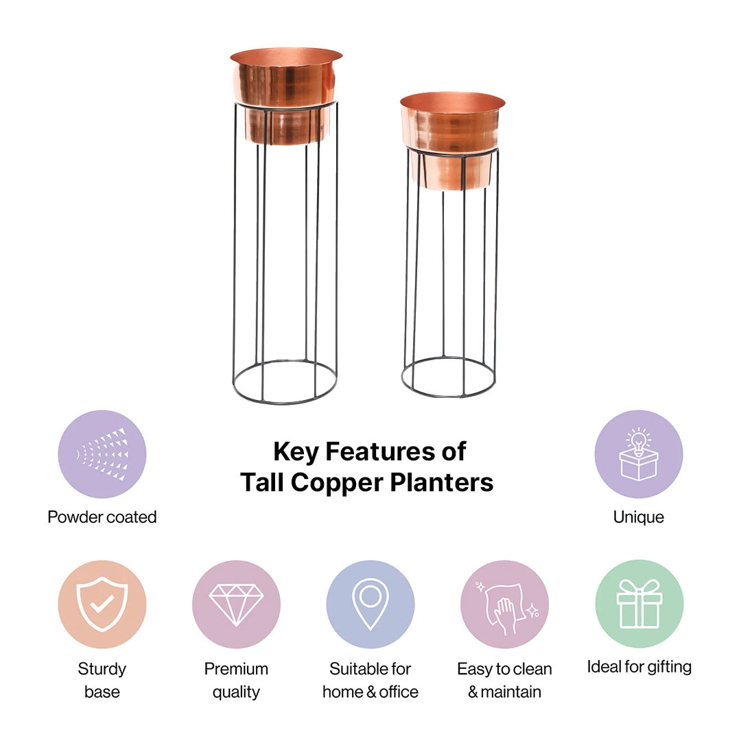 Tall Copper Planters Set of 2
