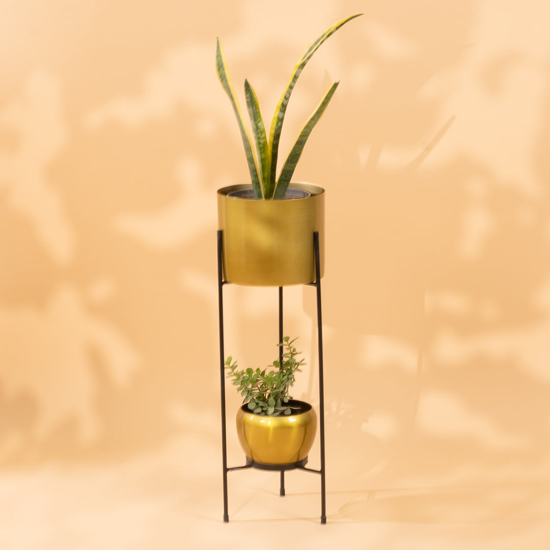 Gold Plain Two Tier Pot Stand With Pot