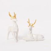 White Frost