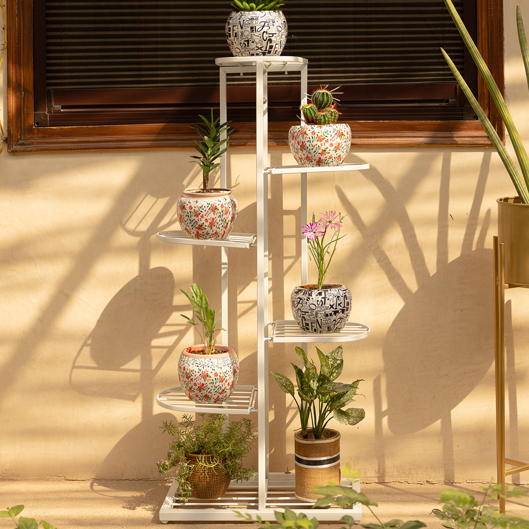 6 Tier Iron Metal Plant Display - White